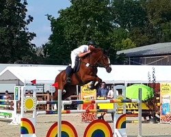 jumper Ucallo (Westphalian, 2008, from Insul Tech Up To Date 8)