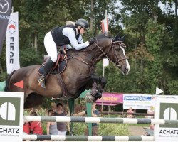 jumper Kensington (KWPN (Royal Dutch Sporthorse), 2015, from Caretino Gold)