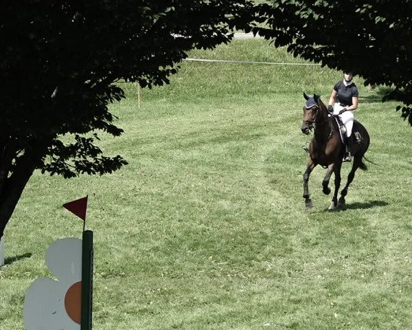Reitturnier Aadorf 2023
