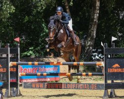 Springpferd Santos R (Westfale, 2015, von Stakkato)