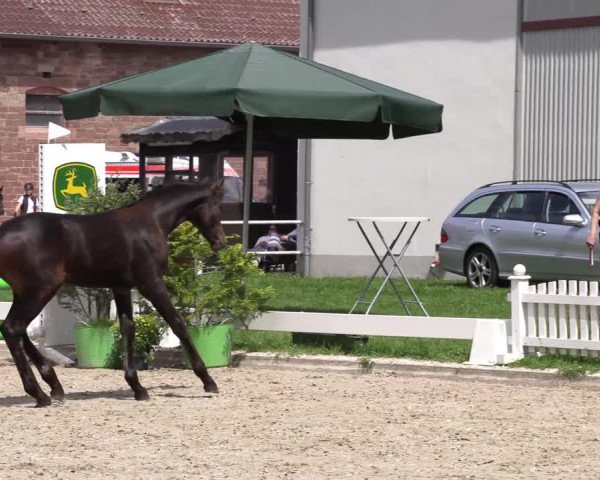 Video of Cyrion