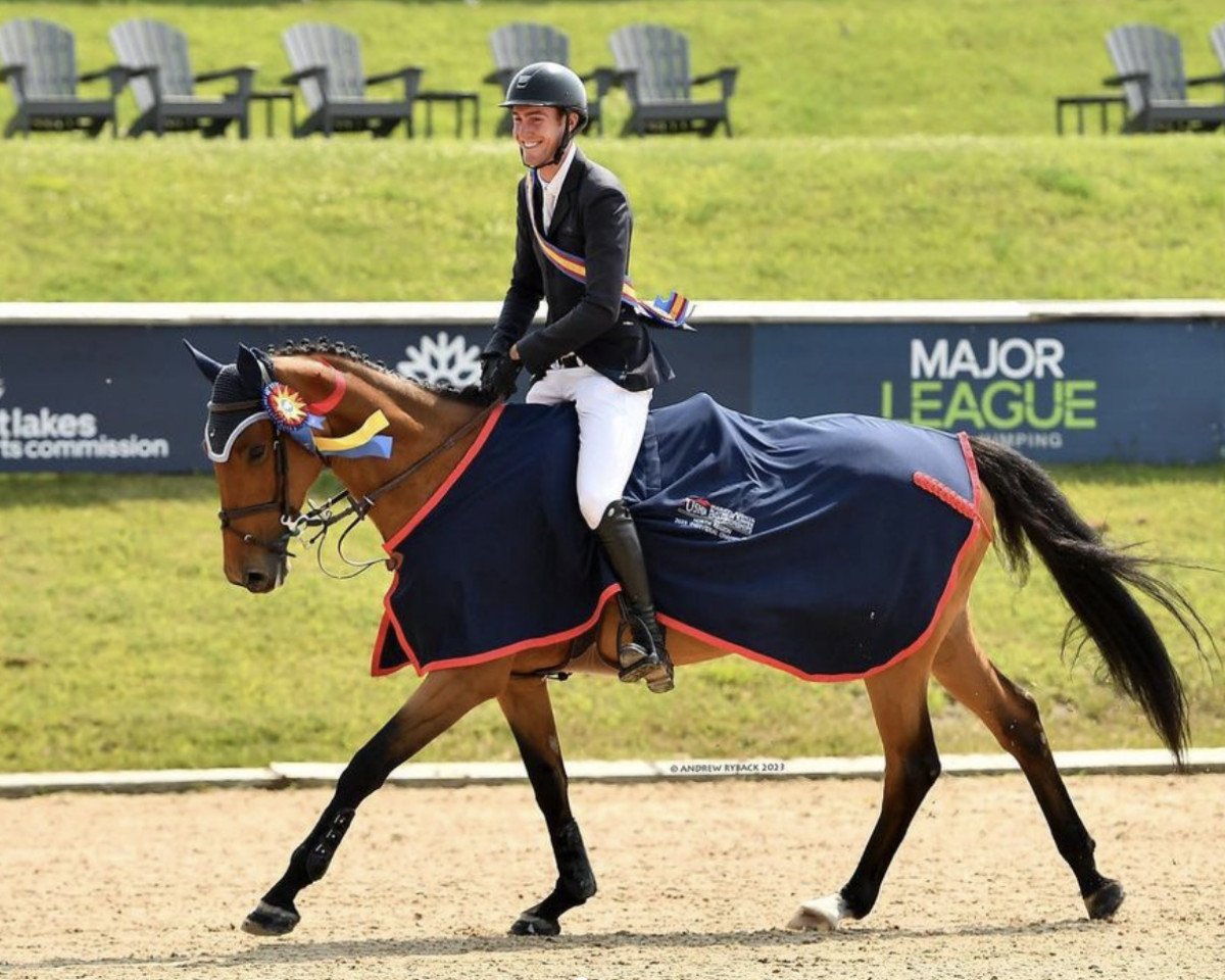 Springpferd Ona van de Helle (Belgisches Warmblut, 2014, von Carlow van de Helle 240 FIN)