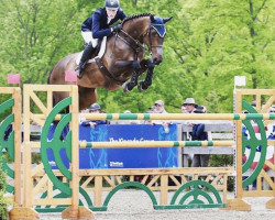 jumper Queen Jane (KWPN (Royal Dutch Sporthorse), 2008, from Colman)
