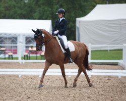 dressage horse Ryhannah (Hanoverian, 2004, from Relevant)