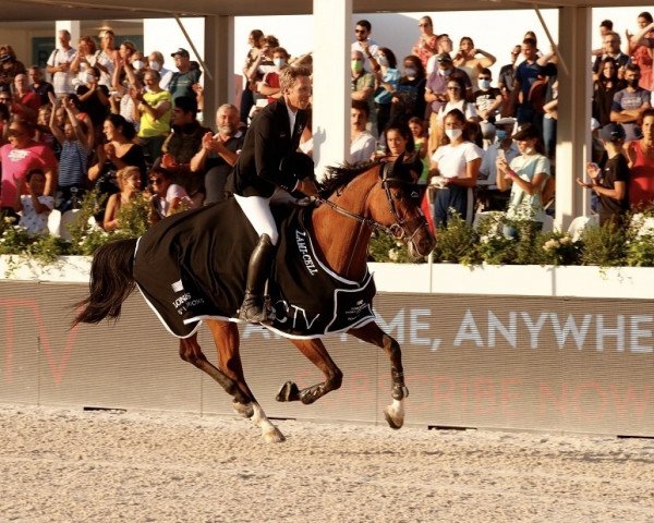 jumper Glamour Girl (KWPN (Royal Dutch Sporthorse), 2011, from Zirocco Blue)