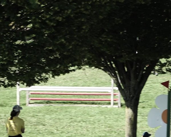 Reitturnier Aadorf 2023