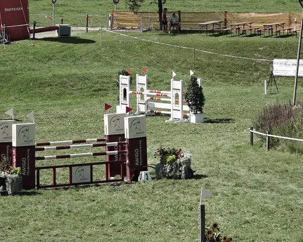 Reitturnier Aadorf 2023