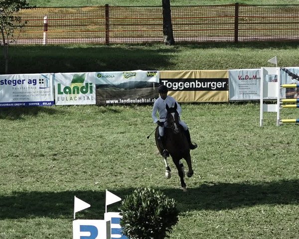 Reitturnier Aadorf 2023
