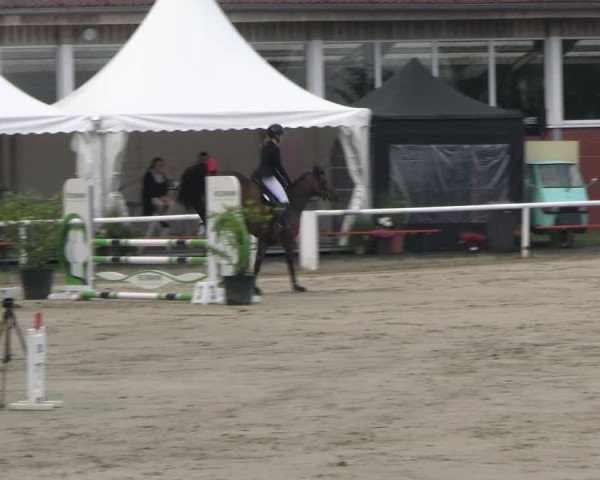 Reitturnier Werne 2023