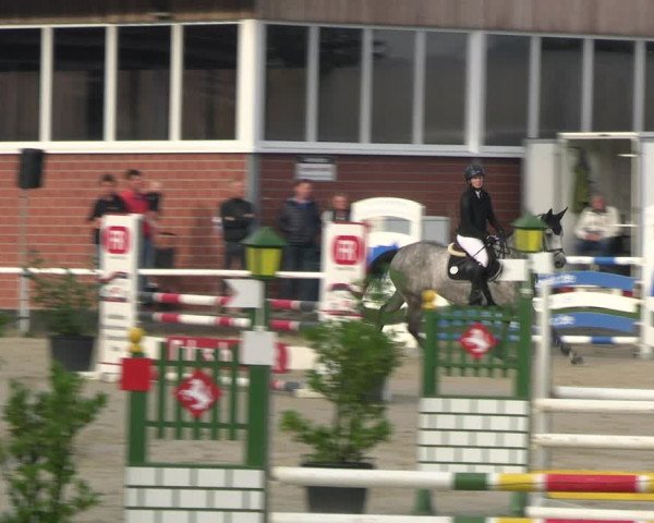 Reitturnier Werne 2023