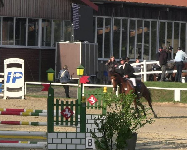 Reitturnier Werne 2023
