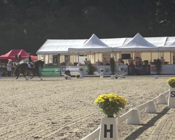 Reitturnier Solingen 2023