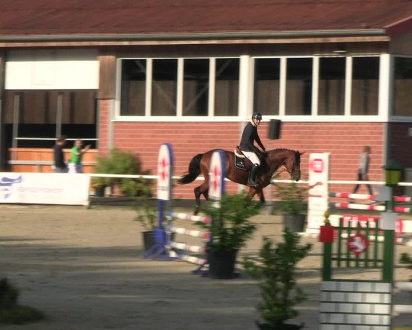 Reitturnier Werne 2023
