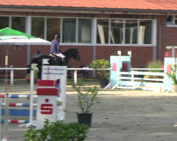 Reitturnier Werne 2023