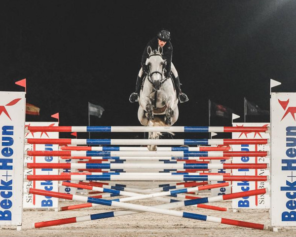 jumper Pepita de Muze (Belgian Warmblood, 2015, from Gemini CL xx)