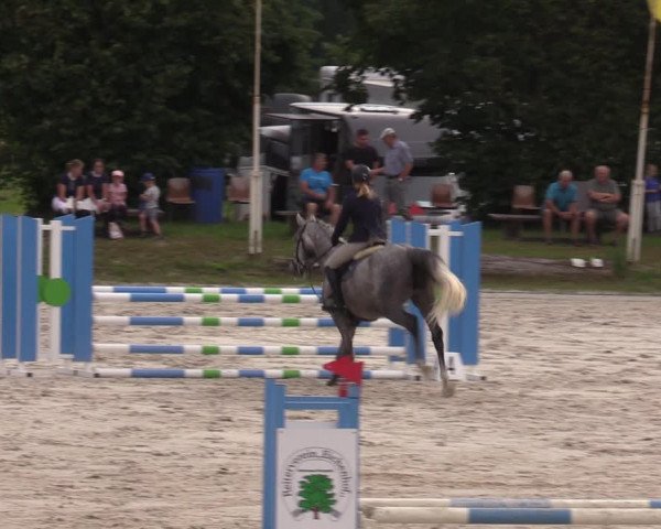 Reitturnier Pietzpuhl 2023