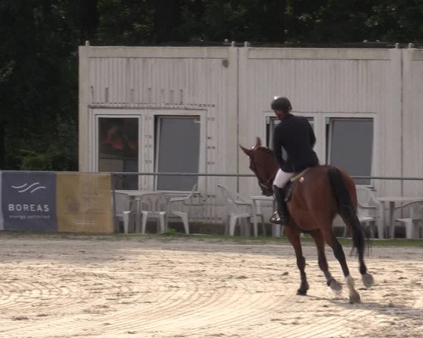 Reitturnier Pietzpuhl 2023