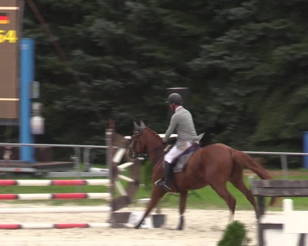 Reitturnier Pietzpuhl 2023