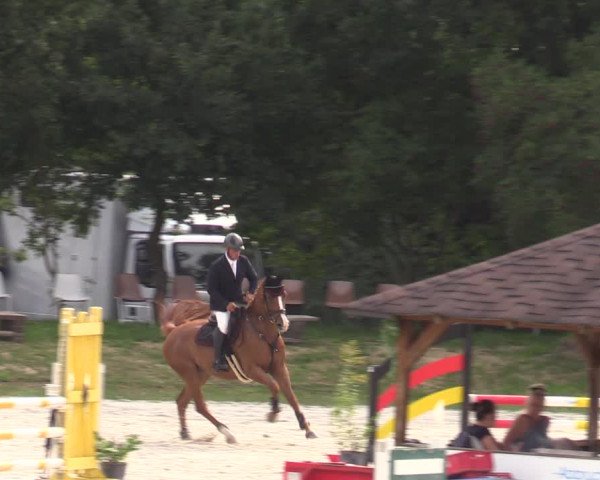 Reitturnier Pietzpuhl 2023