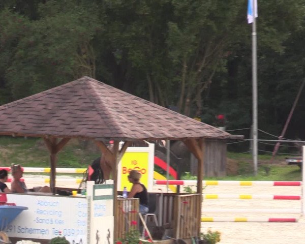 Reitturnier Pietzpuhl 2023