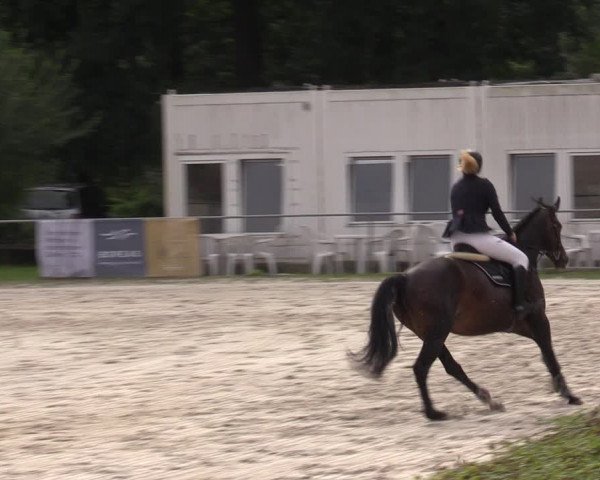 Reitturnier Pietzpuhl 2023