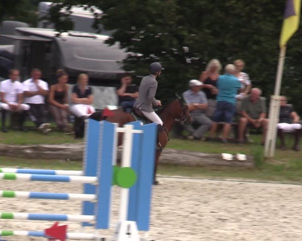 Reitturnier Pietzpuhl 2023