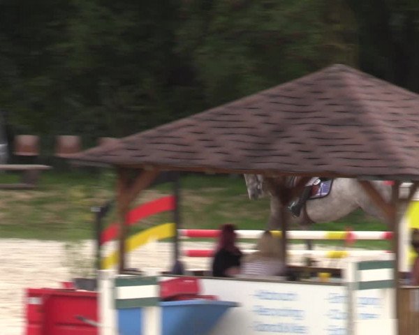 Reitturnier Pietzpuhl 2023