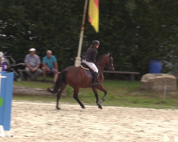 Reitturnier Pietzpuhl 2023