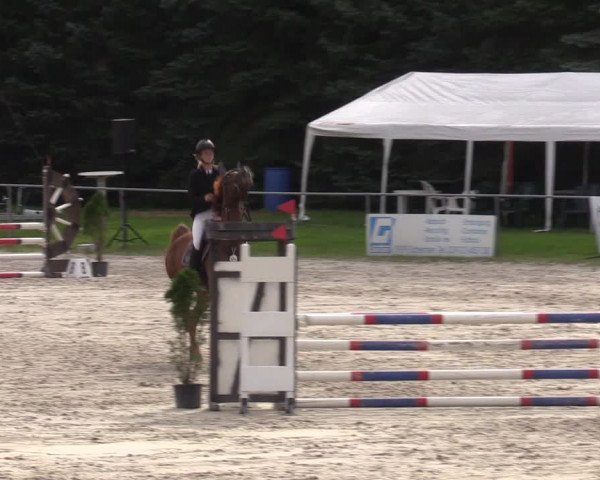 Reitturnier Pietzpuhl 2023
