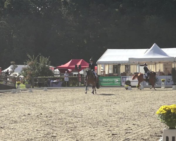 Reitturnier Solingen 2023