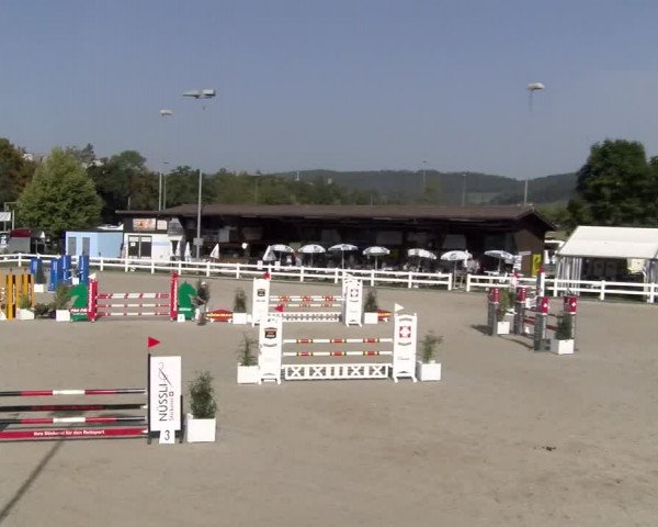 Reitturnier Hüntwangen 2023