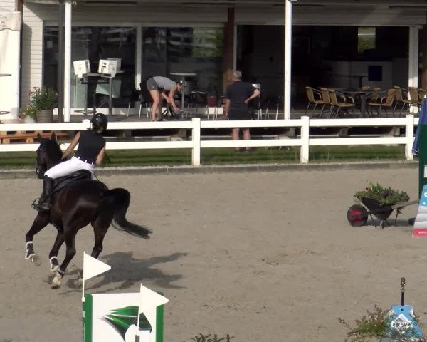 Reitturnier Hüntwangen 2023