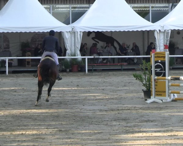 Reitturnier Werne 2023
