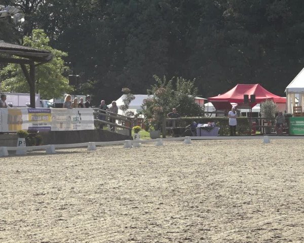 Reitturnier Solingen 2023