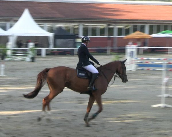 Reitturnier Werne 2023