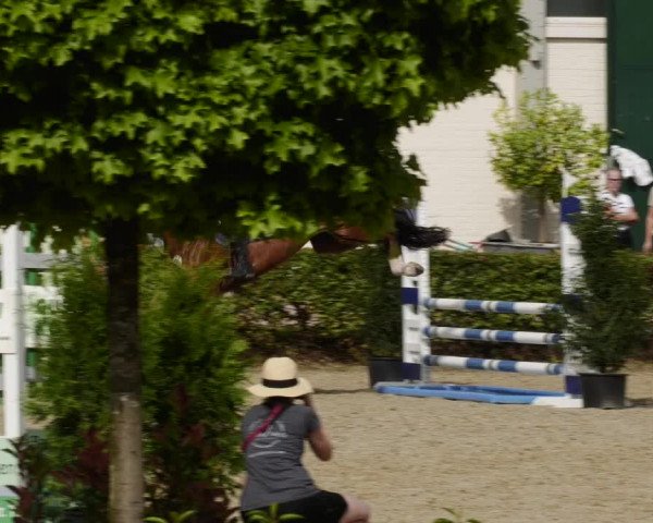 Reitturnier St.Wendel, Gestüt Welvert 2023