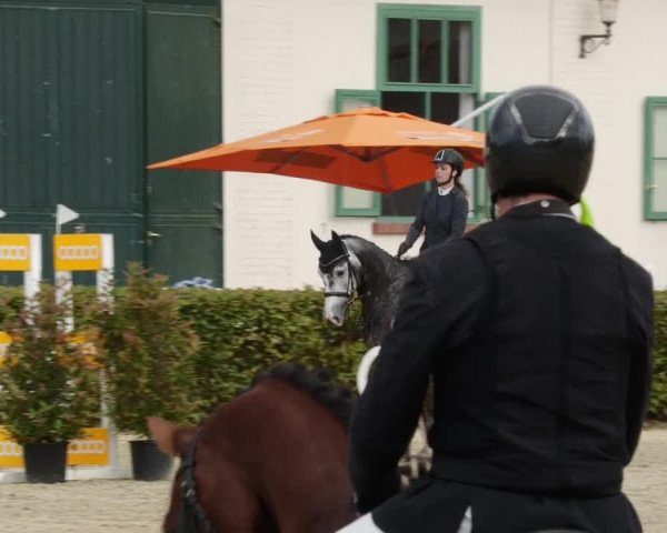Reitturnier St.Wendel, Gestüt Welvert 2023