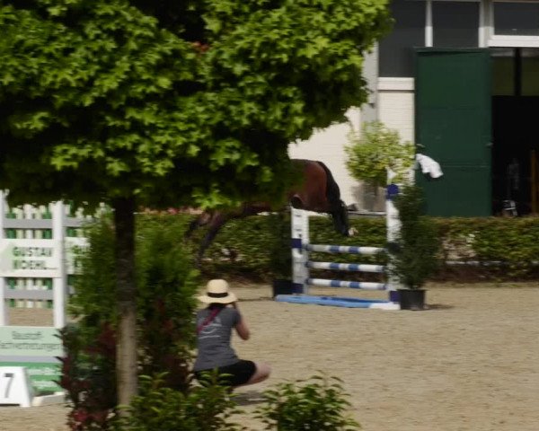 Reitturnier St.Wendel, Gestüt Welvert 2023