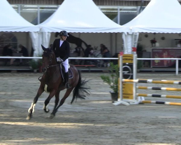Reitturnier Werne 2023