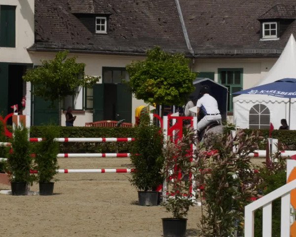 Reitturnier St.Wendel, Gestüt Welvert 2023
