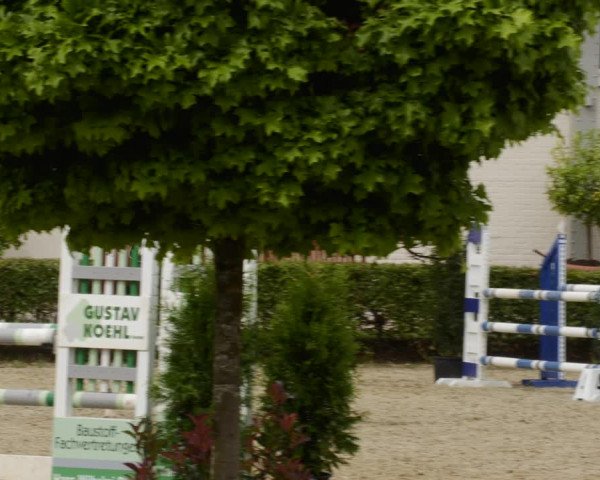 Reitturnier St.Wendel, Gestüt Welvert 2023