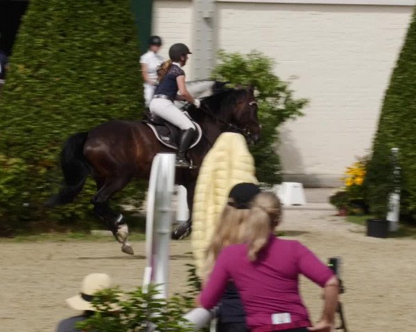 Reitturnier St.Wendel, Gestüt Welvert 2023