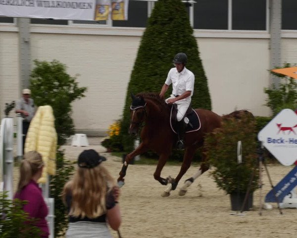 Reitturnier St.Wendel, Gestüt Welvert 2023