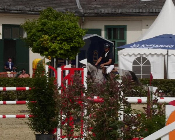 Reitturnier St.Wendel, Gestüt Welvert 2023