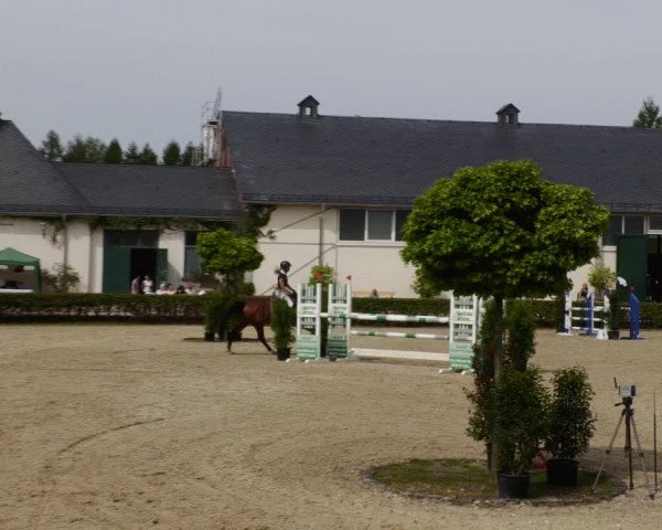 Reitturnier St.Wendel, Gestüt Welvert 2023