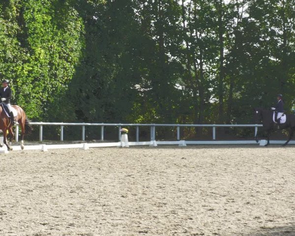 Reitturnier Zillhofen/Obb. 2023