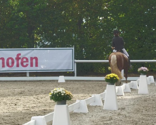 Reitturnier Zillhofen/Obb. 2023