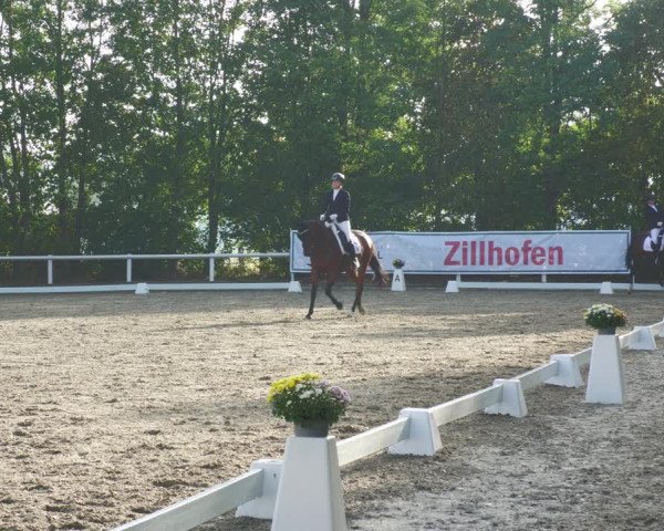 Reitturnier Zillhofen/Obb. 2023