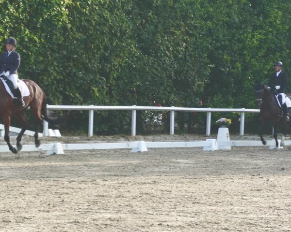 Reitturnier Zillhofen/Obb. 2023