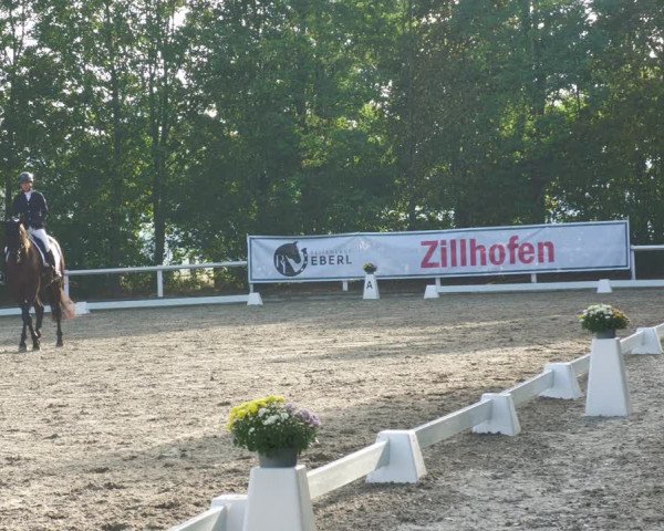 Reitturnier Zillhofen/Obb. 2023